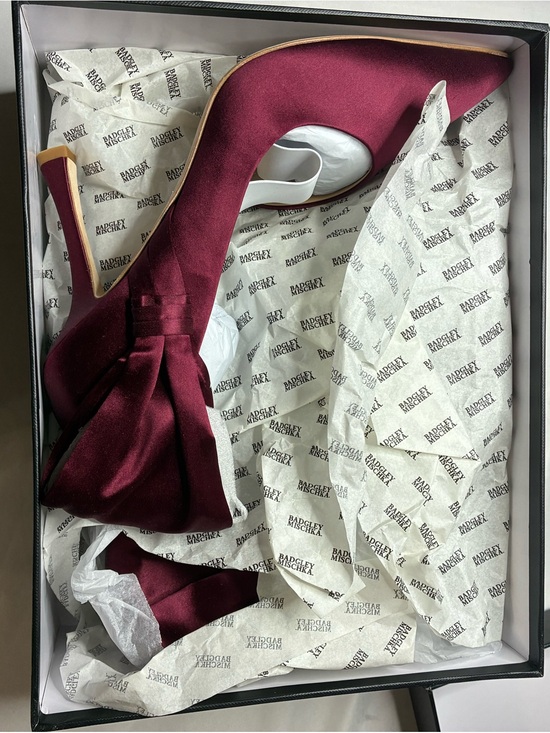 Badgley Mischka Shoes - Badgley Mischka Alejandra Pump Burgundy 10 New Glam Pointed Toe Satin Bow